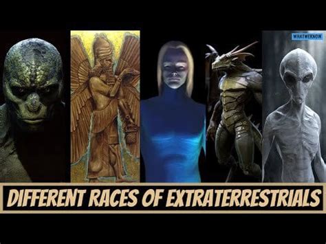 alienette|types of extraterrestrials on earth.